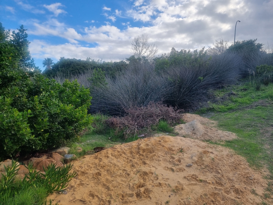 0 Bedroom Property for Sale in Dana Bay Western Cape